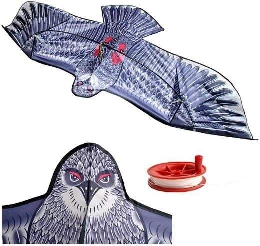 Flying Predator Bird Kite with Realistic Wings