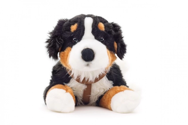 Bernese Mountain Dog Plush Toy 65 cm