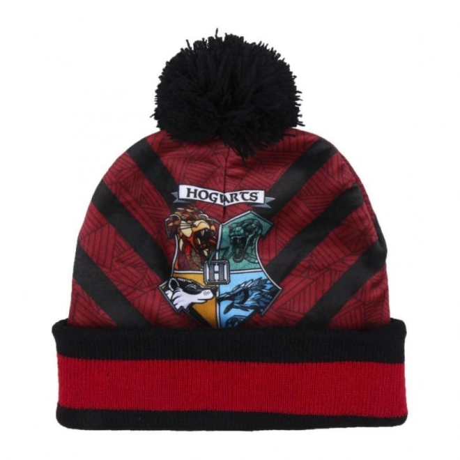 Winter Set Harry Potter