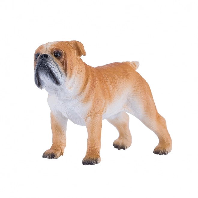 Mojo Engelse Bulldog