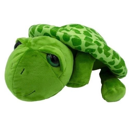 Pluche schildpad Albert 25 cm