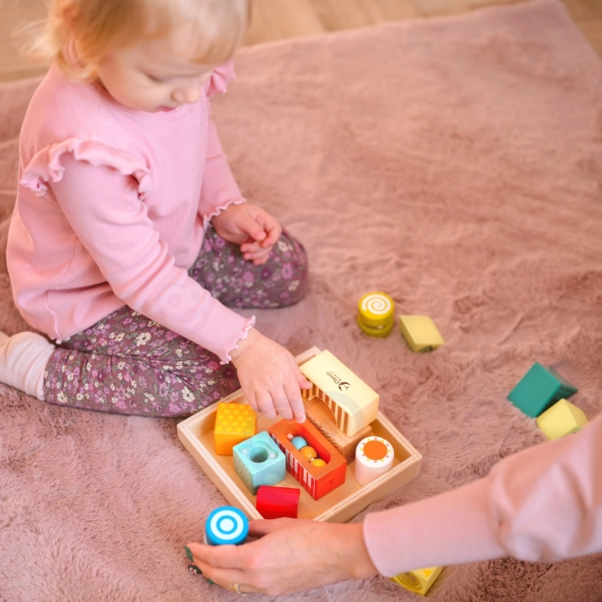 Classic World Wooden Sensory Blocks Montessori Set