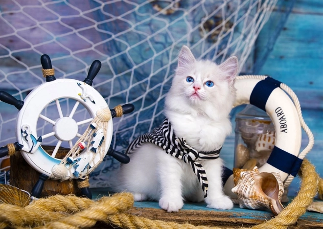 Puzzel Kapitein Kittens 1000 stukjes
