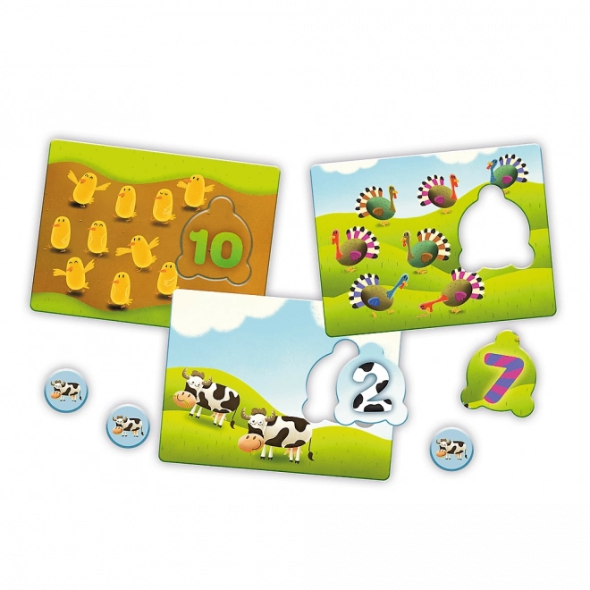 Educational game Numbers from Small Explorer Trefl series