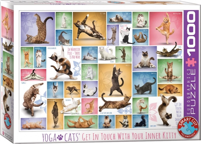 Puzzel Kattenyoga 1000 stukjes