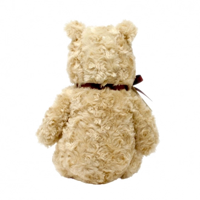Regenboog Knuffel Winnie de Poeh uit het Honderd Bunder Bos