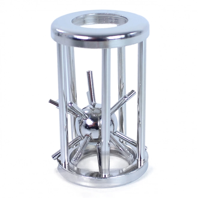 Puzzel egel in een metalen kooi