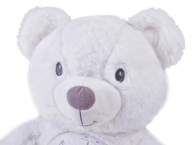 Pluche teddybeer met melodieën en projector