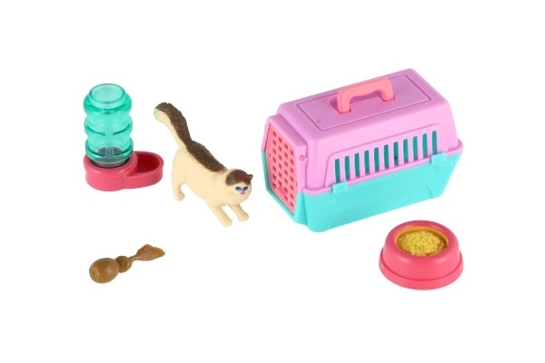 Poes met draagbare doos en accessoires