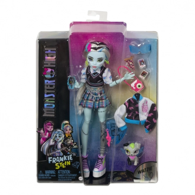 Monster High doll with accessories