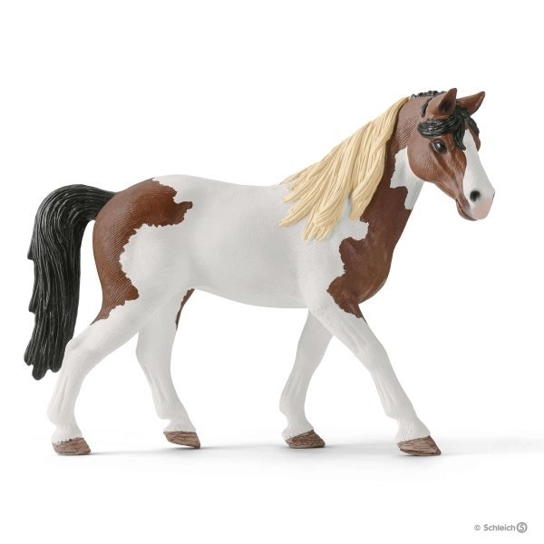 SCHLEICH Horse Club® 42441 Hannah en western ruiter set
