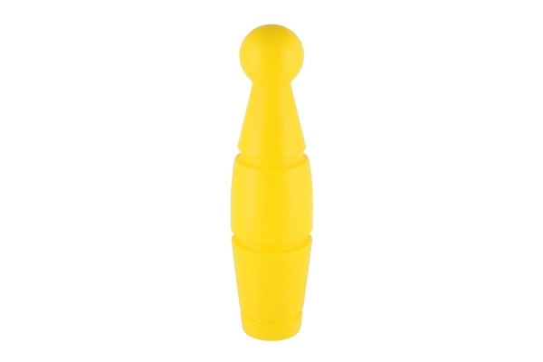 Kinderbowling - 9 kegels