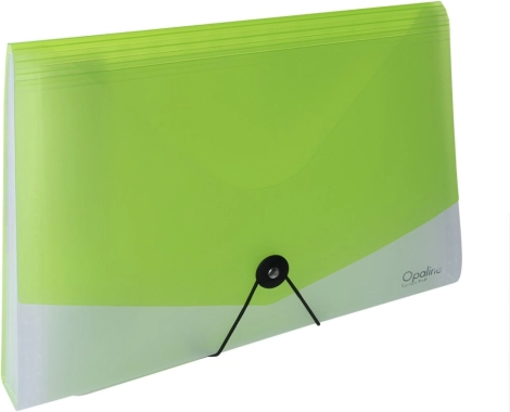 Organiseur de documents A4 avec fermeture élastique Opaline translucide-vert