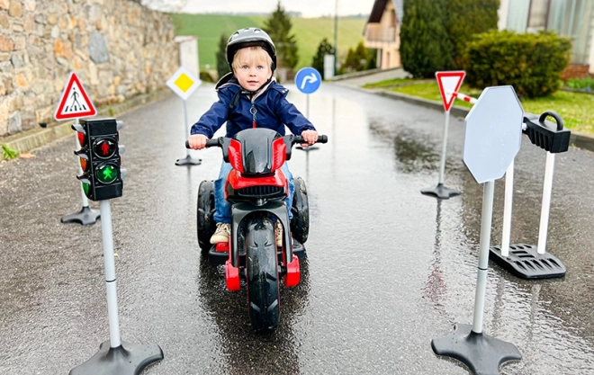 Verkeersborden 81cm, 5 stuks