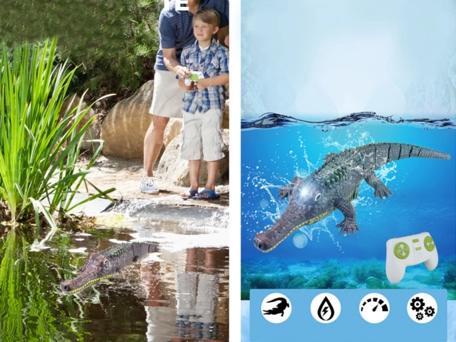 Remote Controlled Crocodile Toy