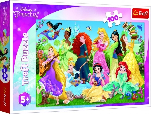 Puzzle Princesses Enchantées/Disney 100 pièces 41x27,5cm dans une boîte 29x19x4cm