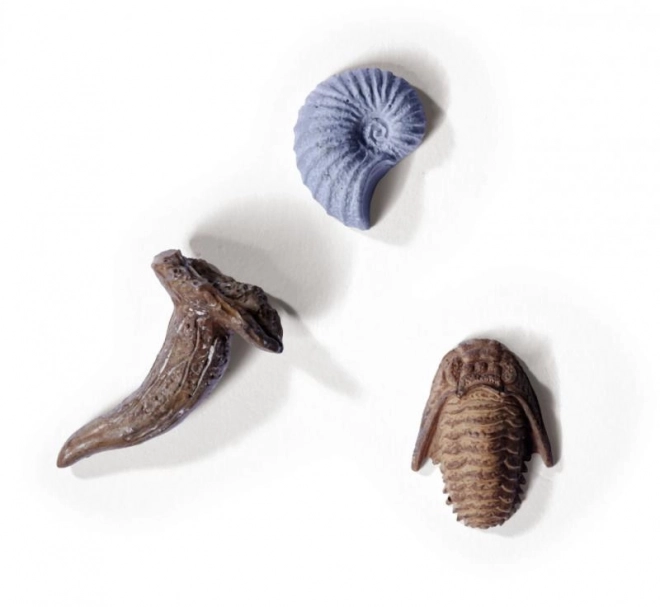 Set voor het opgraven en assembleren van dinosauriër skeletten