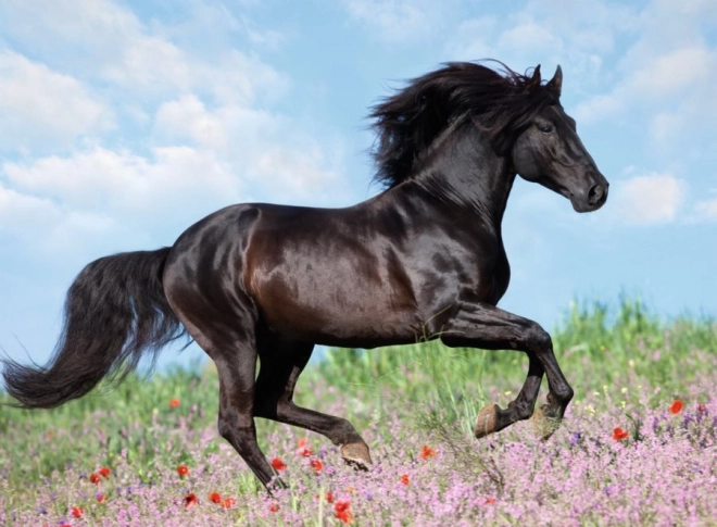 Puzzle Ravensburger Beaux chevaux 200 pièces