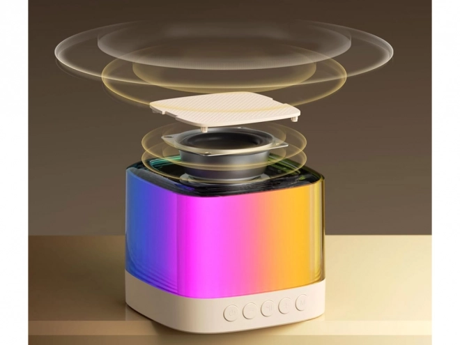 Microfoon met draadloze luidspreker en Bluetooth