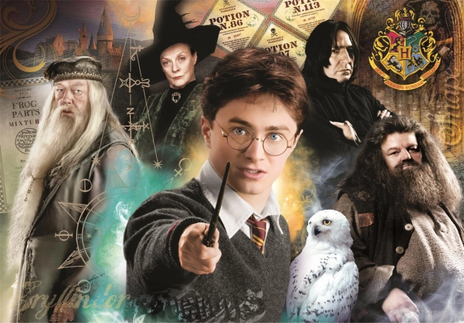 Puzzle 1000 pièces Compact Harry Potter