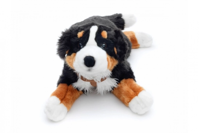 Bernese Mountain Dog Plush Toy 65 cm