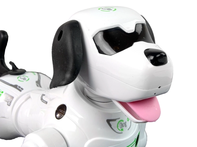 Interactieve op afstand bestuurbare robotische hond