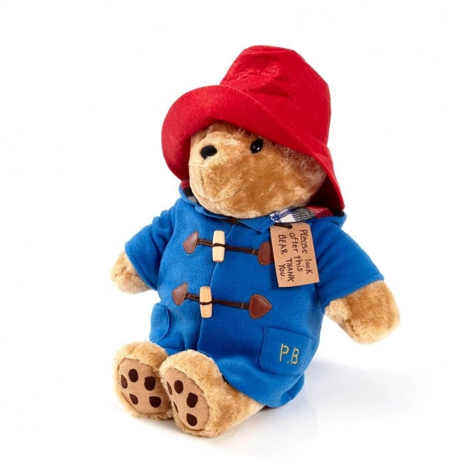 Rainbow Pluche Paddington groot