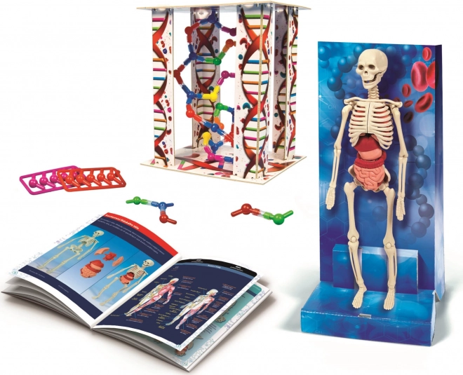 CLEMENTONI Science&Play: Menselijk lichaam 2023