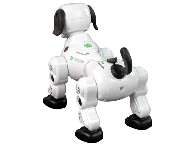 Interactieve op afstand bestuurbare robotische hond