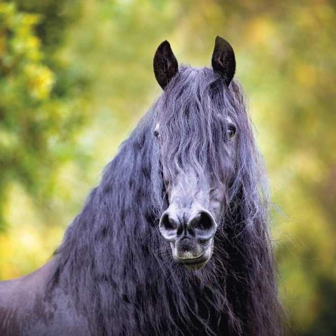 NOTIQUE Notitiekalender Paarden – Christiane Slawik 2025, 30 x 30 cm