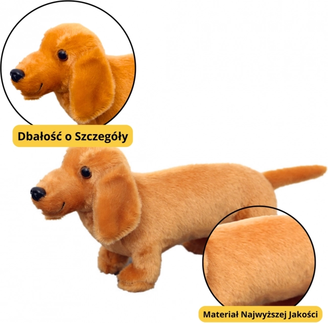 Plüschspielzeug Hund Dackel Hellbraun 25 cm