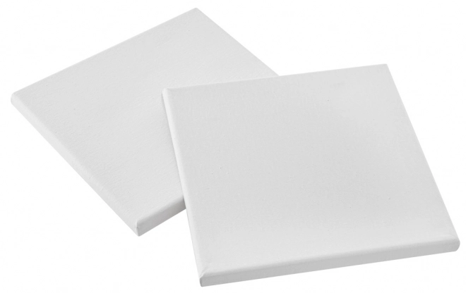 Schilderdoeken 20x20 cm - 2 stuks