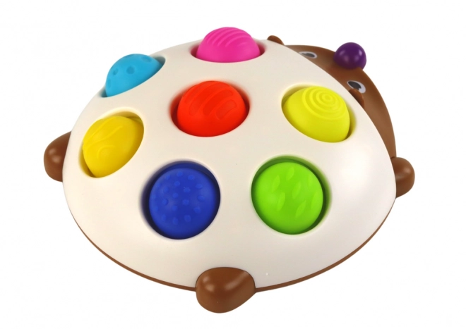 Zintuiglijke egel leuk Montessori bord