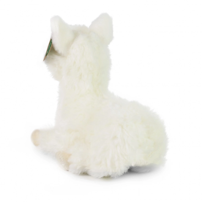 Pluchen lama Rappa liggend – 23 cm