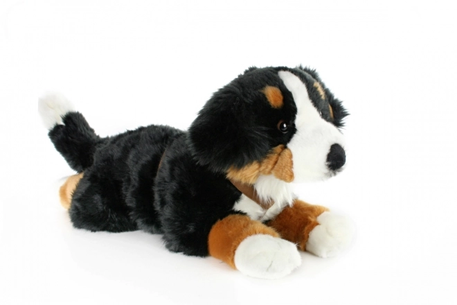 Bernese Mountain Dog Plush Toy 65 cm