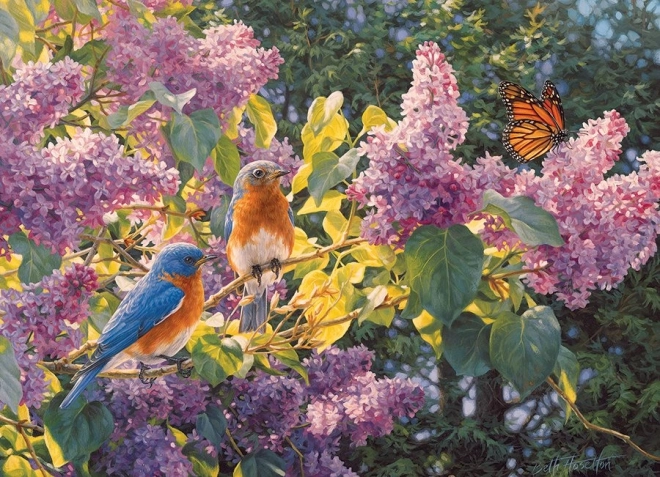 Cobble Hill puzzle Spring Performance 500 pieces