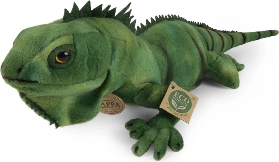Pluchen Groene Leguaan 70 cm Eco