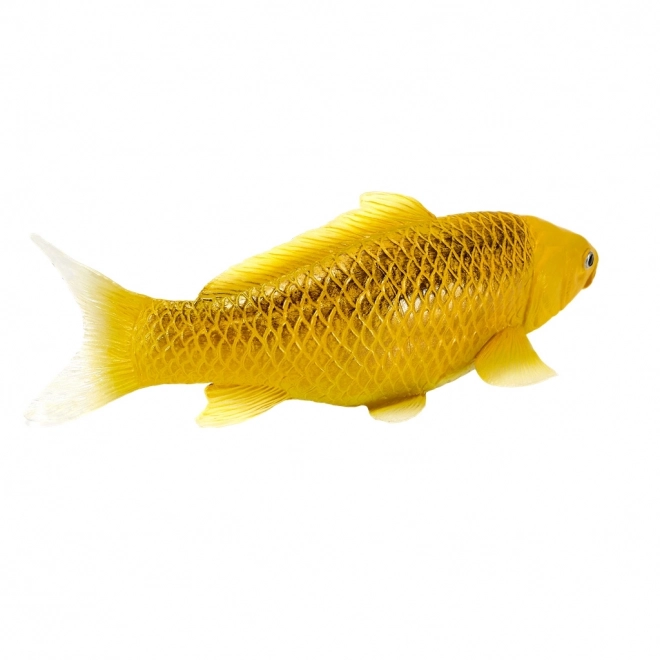 Mojo karper koi Matsuba