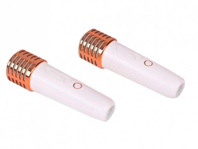Microfoon met draadloze luidspreker en Bluetooth