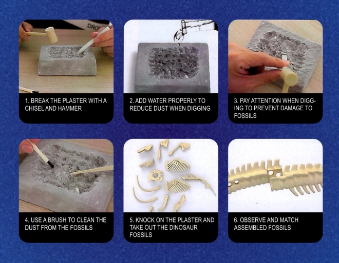 Woopie creatieve speelgoed dinosaurus skelet opgraving