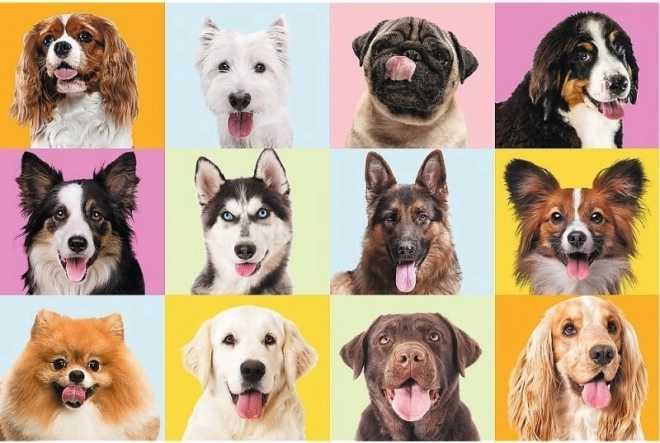 Puzzle 60 pièces – adorables chiots TREFL