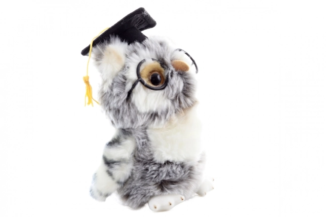 Plush Owl Graduate