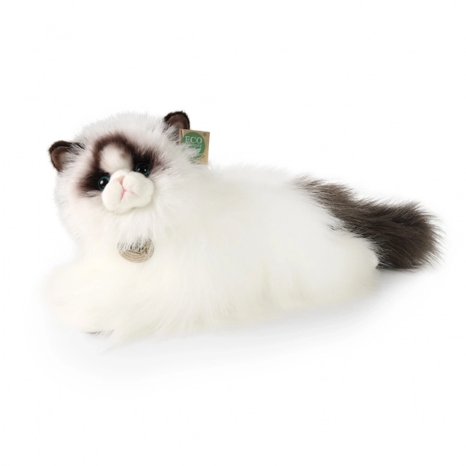 Plush Ragdoll cat 35 cm ecological