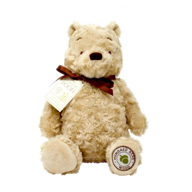 Regenboog Knuffel Winnie de Poeh uit het Honderd Bunder Bos