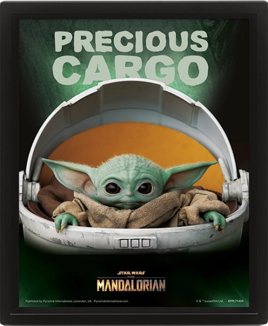 3D Picture STAR WARS: The Mandalorian – Precious Cargo