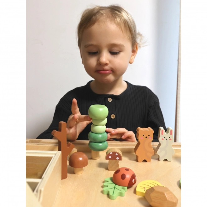 Bosset met houten blokken Tooky Toy