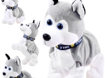 Interactive Plush Husky with Sounds and Touch-Activated Tricks