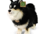Plüschhund Lapinkoira 33 cm umweltfreundlich