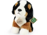 Plush Bernese Mountain Dog