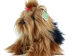 Pluchen Hond Yorkshire Terrier Eco Friendly